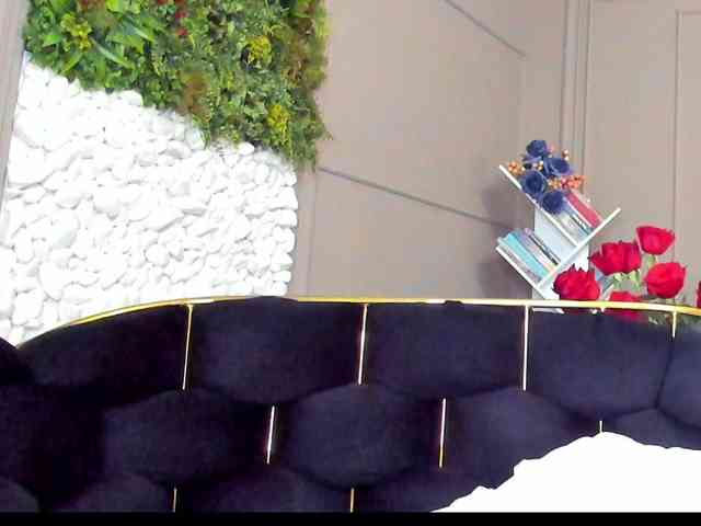 UnforseenLand webcam