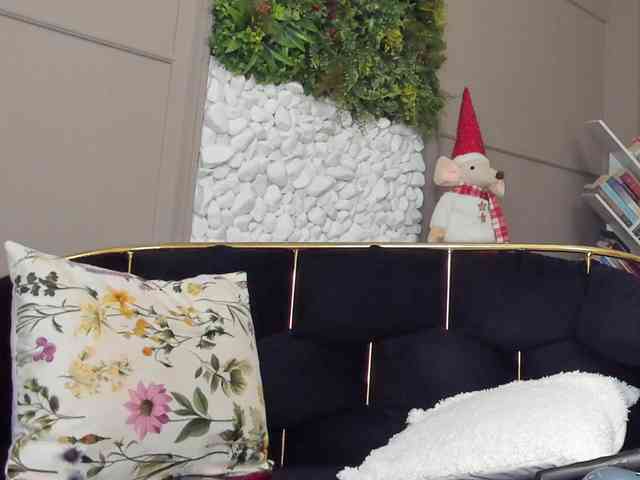 UnforseenLand webcam