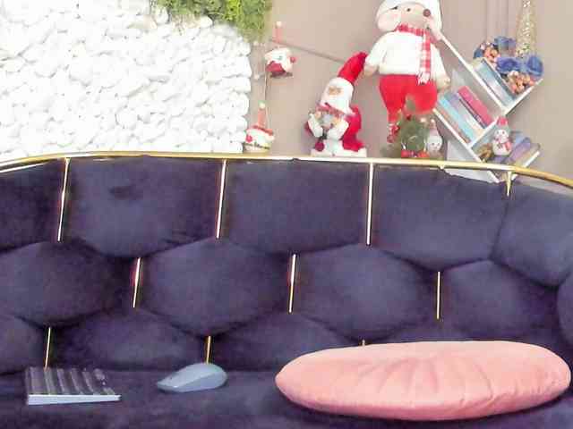 UnforseenLand webcam