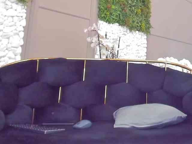 UnforseenLand webcam