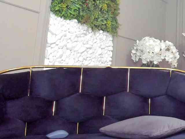 UnforseenLand webcam