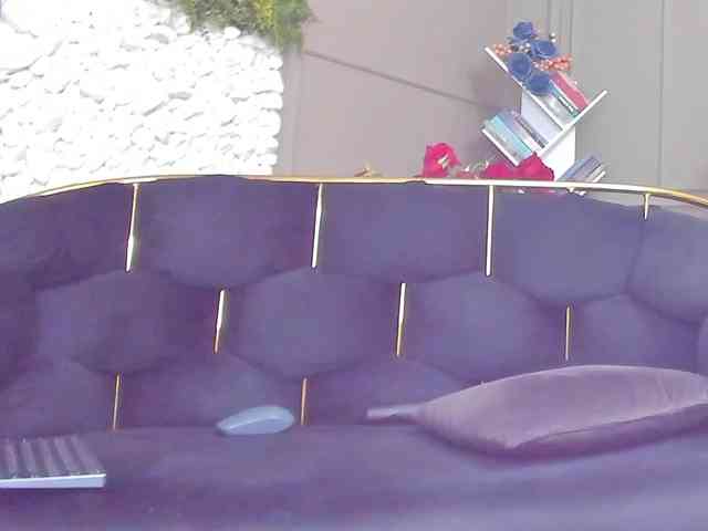 UnforseenLand webcam