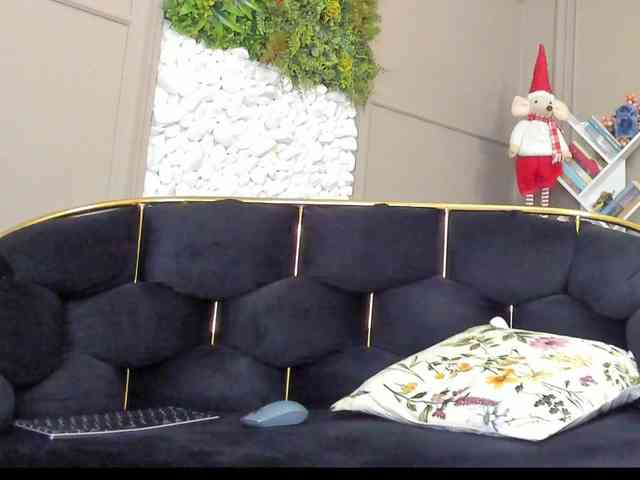 UnforseenLand webcam