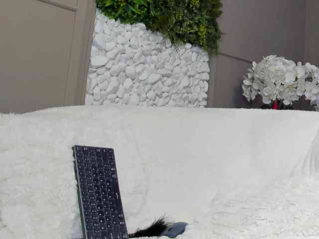 UnforseenLand webcam