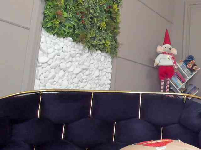 UnforseenLand webcam