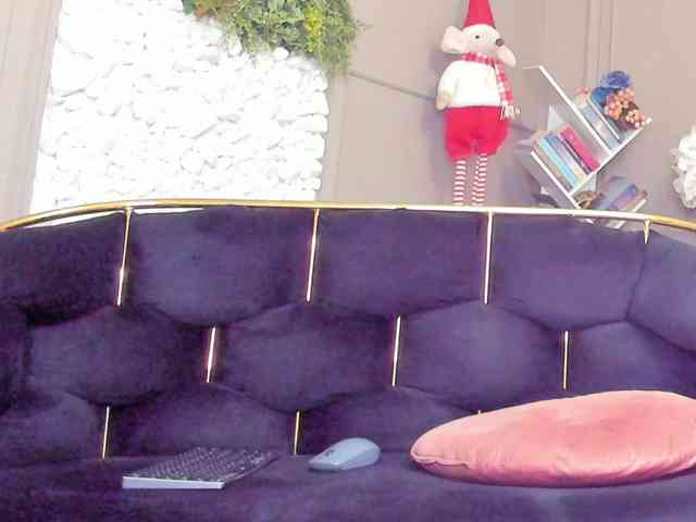 UnforseenLand webcam