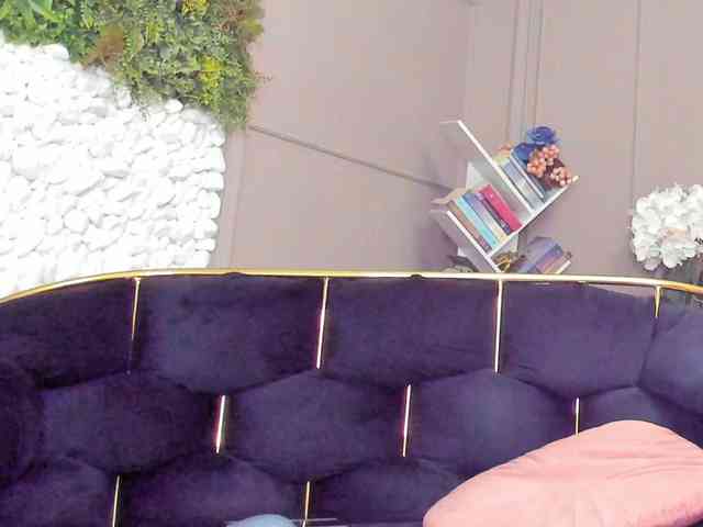 UnforseenLand webcam