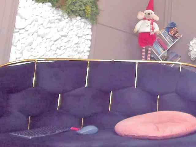 UnforseenLand webcam