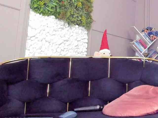 UnforseenLand webcam