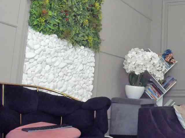 UnforseenLand webcam