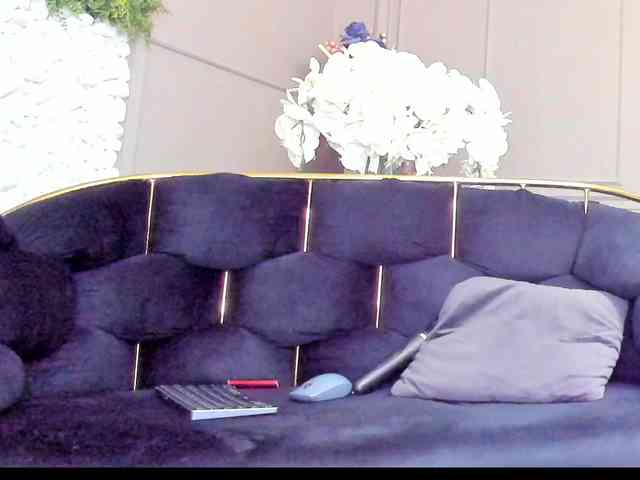 UnforseenLand webcam