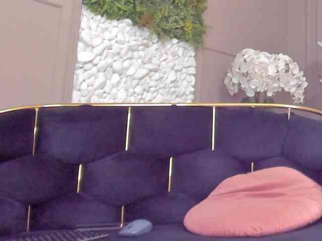 UnforseenLand webcam