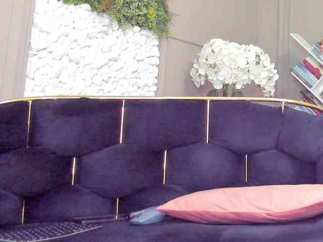 UnforseenLand webcam