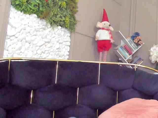 UnforseenLand webcam