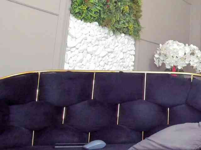 UnforseenLand webcam