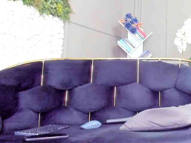 UnforseenLand webcam