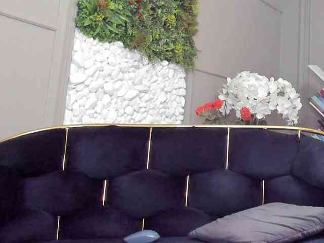 UnforseenLand webcam