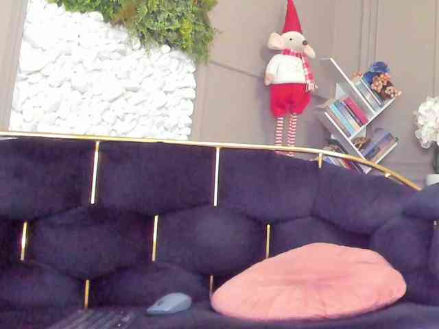 UnforseenLand webcam