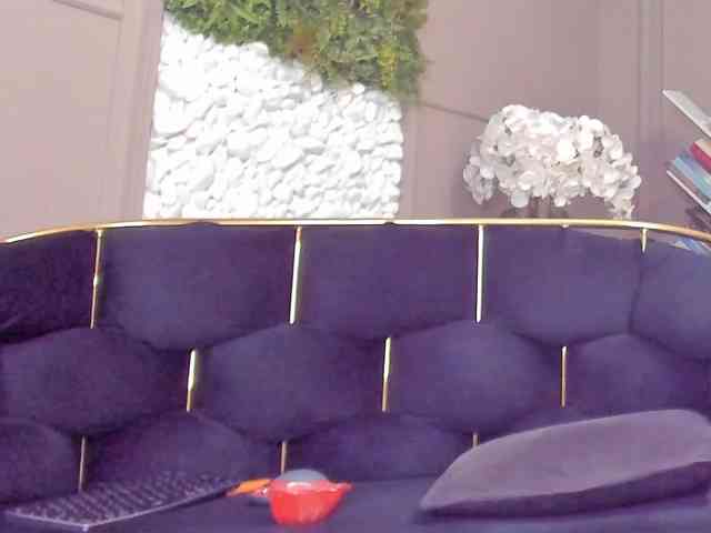 UnforseenLand webcam