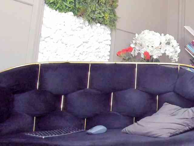 UnforseenLand webcam