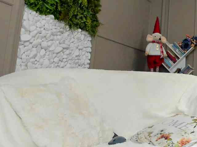 UnforseenLand webcam