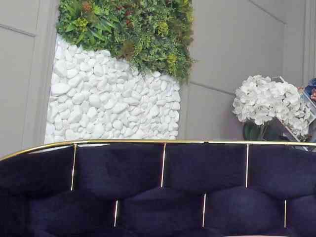 UnforseenLand webcam