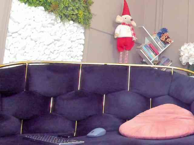 UnforseenLand webcam