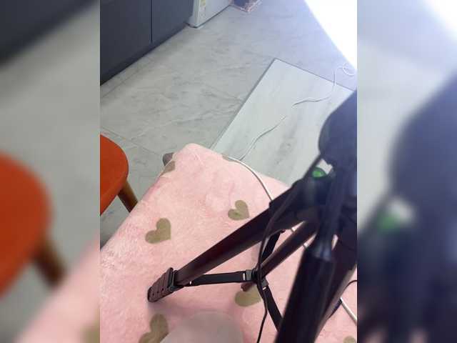puppy19