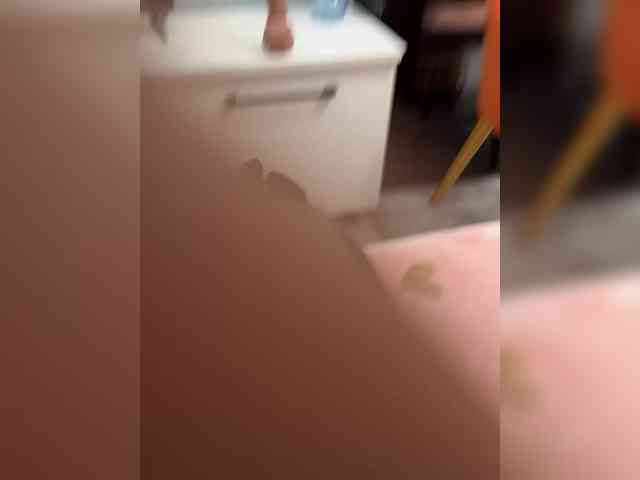 CuteKitty00 webcam