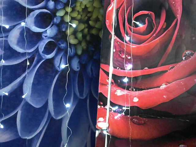 Lilijjjjjjjjjjjjjjjjj90's BongaCams show and profile