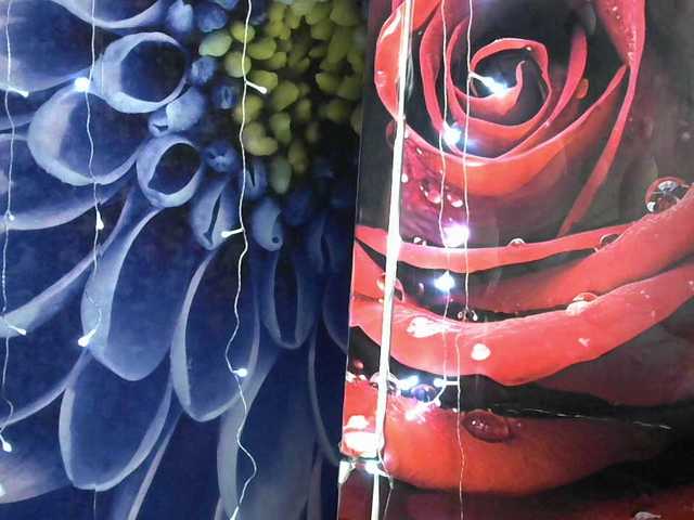 Lilijjjjjjjjjjjjjjjjj90's BongaCams show and profile