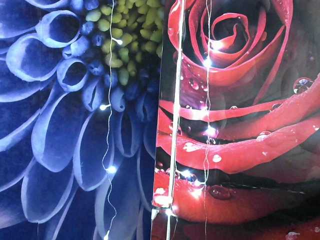 Lilijjjjjjjjjjjjjjjjj90's BongaCams show and profile