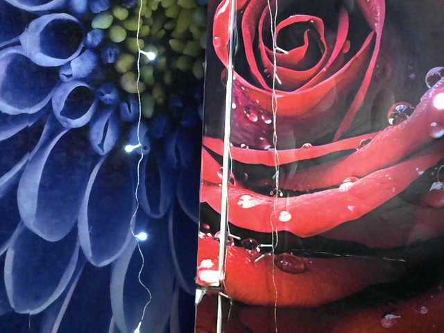 Lilijjjjjjjjjjjjjjjjj90's BongaCams show and profile