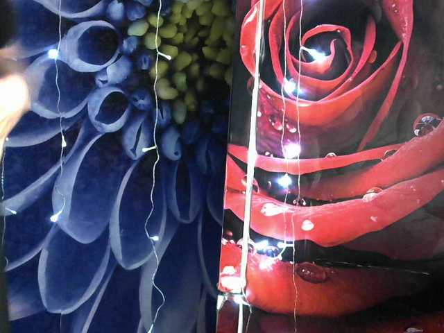 Lilijjjjjjjjjjjjjjjjj90