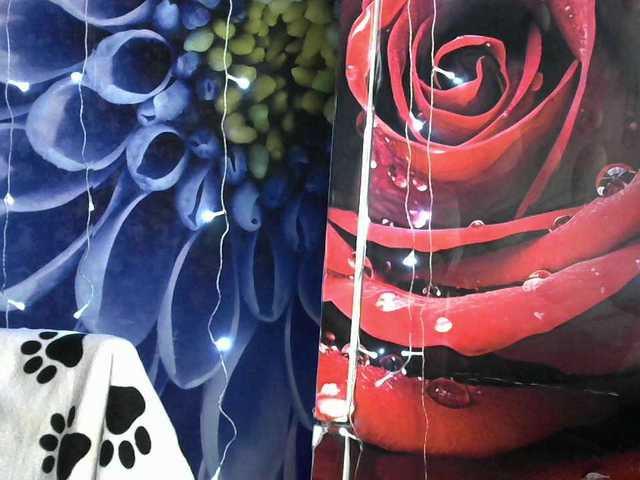 Lilijjjjjjjjjjjjjjjjj90's BongaCams show and profile