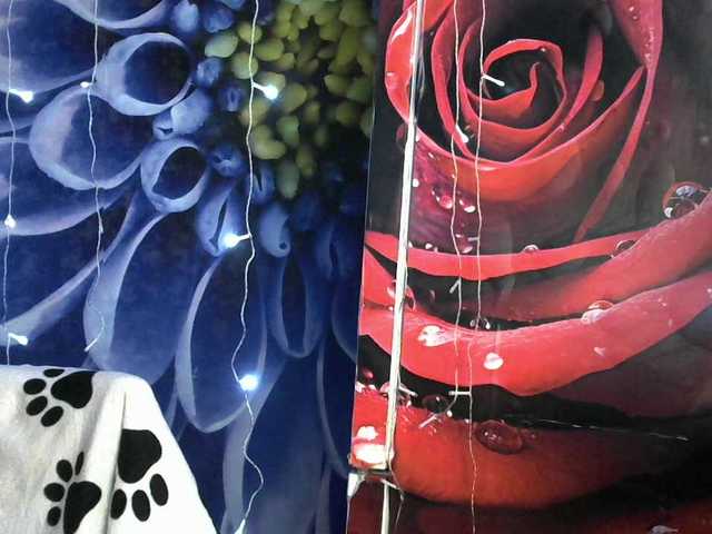 Lilijjjjjjjjjjjjjjjjj90's BongaCams show and profile