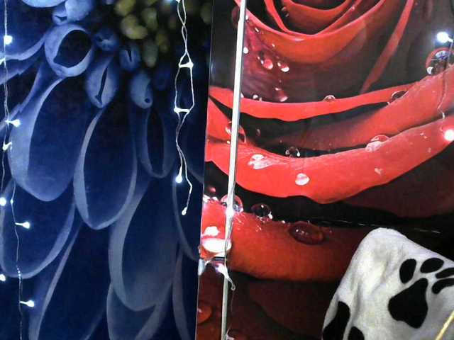 Lilijjjjjjjjjjjjjjjjj90's BongaCams show and profile