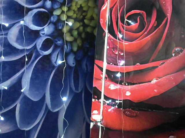 Lilijjjjjjjjjjjjjjjjj90