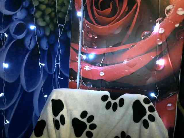 Lilijjjjjjjjjjjjjjjjj90 webcam