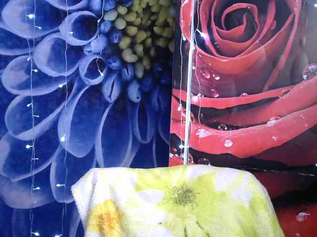 Lilijjjjjjjjjjjjjjjjj90 webcam