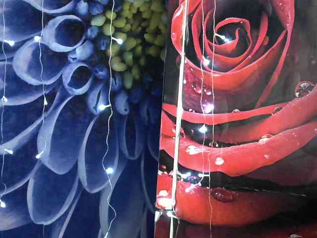 Lilijjjjjjjjjjjjjjjjj90