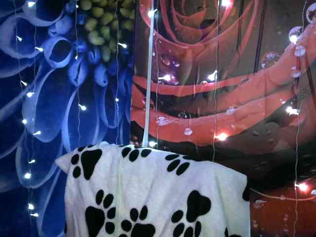 Lilijjjjjjjjjjjjjjjjj90 Lilijjjjjjjjjjjjjjjjj90