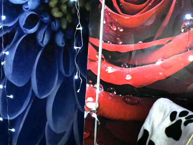 Lilijjjjjjjjjjjjjjjjj90 webcam