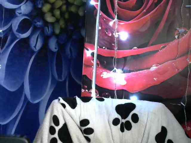 Lilijjjjjjjjjjjjjjjjj90 webcam