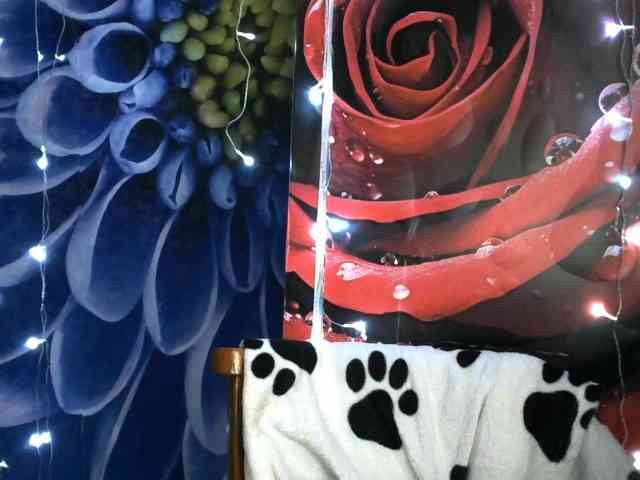 Lilijjjjjjjjjjjjjjjjj90 webcam