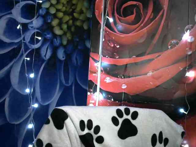 Lilijjjjjjjjjjjjjjjjj90 webcam