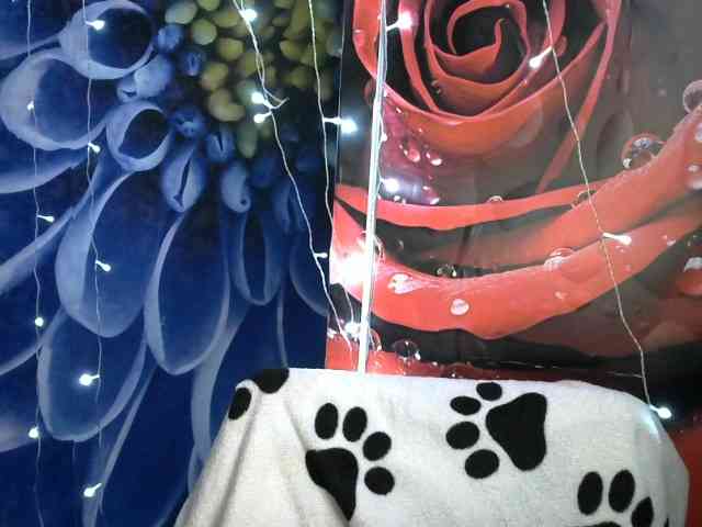 Lilijjjjjjjjjjjjjjjjj90 webcam