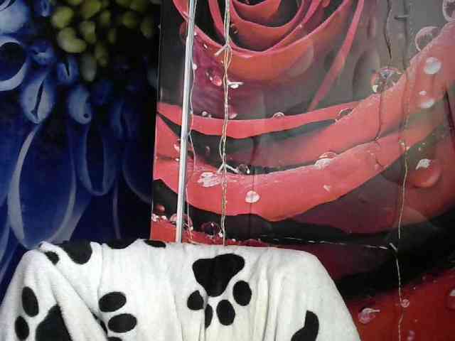 Lilijjjjjjjjjjjjjjjjj90 webcam