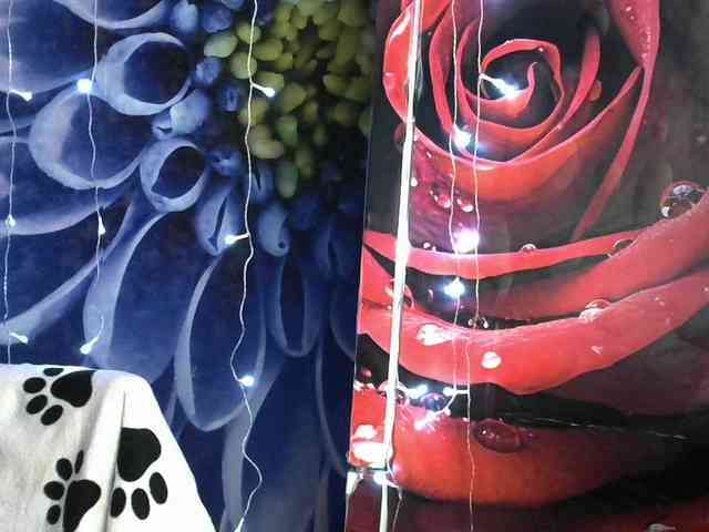 Lilijjjjjjjjjjjjjjjjj90 webcam