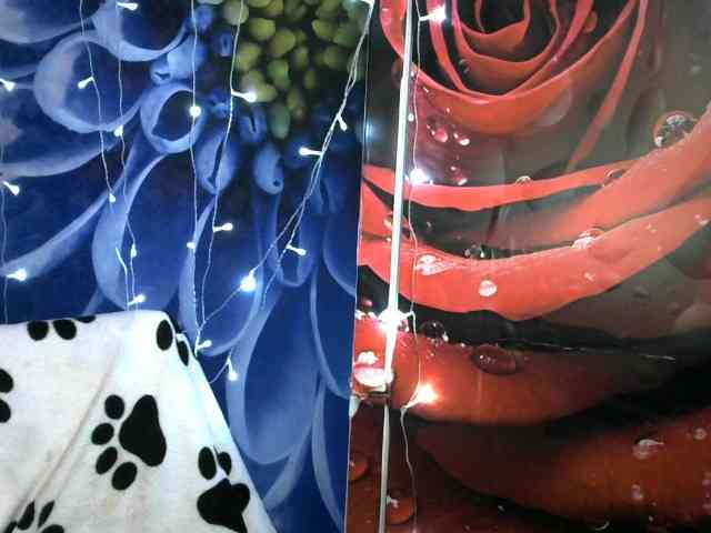 Lilijjjjjjjjjjjjjjjjj90 webcam